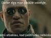 pastininkas_Slonikeinai (500x303)