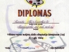 diplomas24