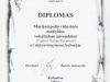 diplomas6