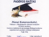 diplomas91