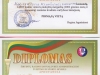 diplomas2015-01-10-566x800